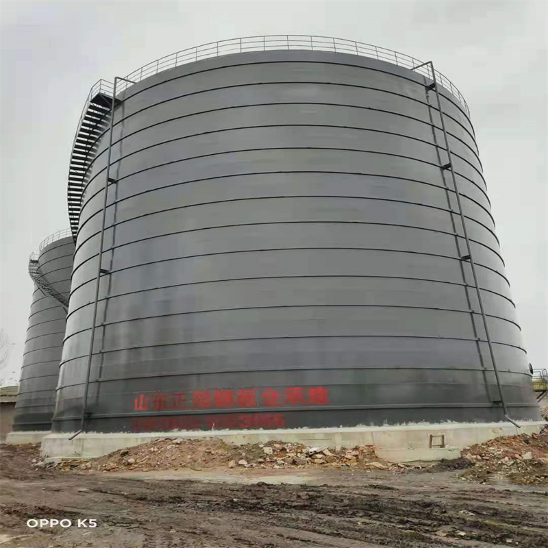 北林3万吨大型钢板库