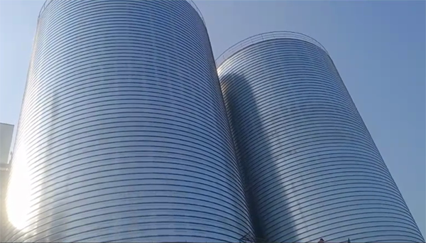 北林2座混凝土高架卷板仓